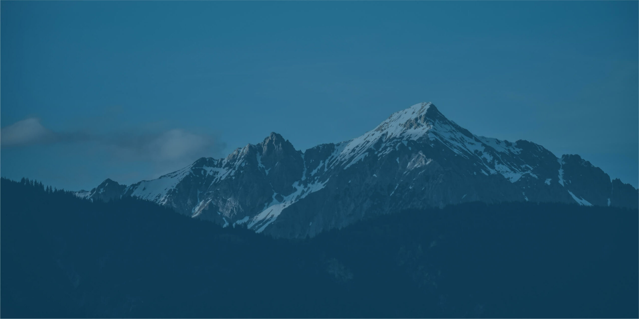 Gestão de patrimônio sob medida: <br /> Soluções personalizadas para objetivos únicos.